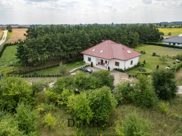 Dom Sprzedaż Strzelce Krajeńskie